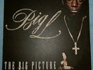 BIG L -2xLP- The Big Picture (1974 - 1999) DITC TUPAC 2PAC