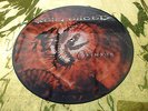 Sentenced Crimson PIC DISC Amorphis Paradise Lost Tiamat