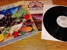 LIGABUE RARA 1^ STAMPA anno 1991 COMPLETO LP Lambrusco coltelli Rose & Pop Corn