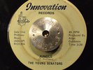 RARE FUNK SOUL 45 - THE YOUNG SENATORS - JUNGLE /THAT'S THE WAY IT IS  HEAR