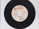 FOX/DESTINY  -  FABIAN MIRANDA  (77  REGGAE ROOTS 7
