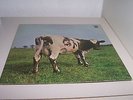 PINK FLOYD ATOM HEART MOTHER 1ST PRESSING UK QUAD NICE COPY