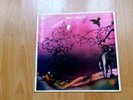  Janne Schaffer – The Chinese lp