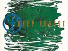 DEEP FOREST Deep Forest Vinyl Record LP Columbia 474178 1 1992 EX 1st Pressing