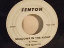 THE QUESTS shadows in the night FENTON 2174 rare killer GARAGE 60s PUNK michigan