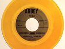 Sandy Stanton+Panics: Everyone Needs Someone |rare white doo-wop '61 teen *HEAR*