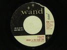 MICKEY AND THE CLEAN CUTS Soapy WAND hear soundclip GARAGE