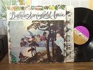 BUFFALO SPRINGFIELD LP 