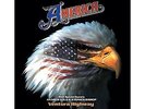 America-Ventura Highway Vinyl / 12