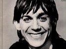 Iggy Pop Lust For Life NEAR MINT RCA Vinyl LP