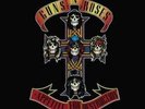Guns N' Roses-Appetite for Destruction Vinyl / 12