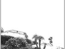 Timber Timbre-Hot Dreams VINYL NEW
