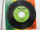 Caleb Sweetback/Zap Pow Band ?– Darling You /Sweet Back Rock / 7'' / VG+/ Killa