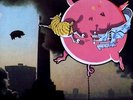 Used: PINK FLOYD - The Whole Hog (Live in Fort Worth 1977) 2 LP SET