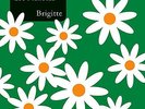 SINGLE LOS PLANETAS BRIGITTE VINILO