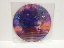 JIMI HENDRIX IN FROM THE STORM 12''VINYL RECORD PICTURE DISC LP RARE  1995 BMG