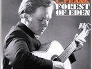Forest Of Eden - Jackson C. Frank (2013, Vinyl NEW)
