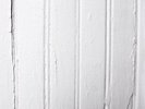 Beach Fossils (2011, Vinyl NEW)