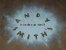 ANDY SMITH'S NORTHERN SOUL Various Artists  NEW 2X LP VINYL (BEAT GOES PUBLIC)