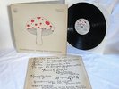 MUSHROOM - EARLY ONE MORNING 100% ORIGINAL 1st PRESS  FOLK PSYCH LP