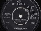 THE CHEROKEES  WONDEROUS PLACE  UK ORIG  MICKIE MOST PROD BEAT ERA THRILLER