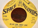 The Hill Sisters Oh My Love Sweet Love/My Lover NORTHERN SOUL 45 Space Records