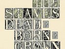 THE STAVES DEAD & BORN & GROWN LP VINYL BRAND NEW 2012 33RPM
