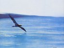 CHICK COREA - RETURN TO FOREVER - 180 GRAM AUDIOPHILE - VINILE NUOVO