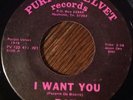PAT I Want You / I Really Love You 45, Very Rare PRIVATE PSYCH On Purple Velvet