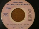 BOBBY BLAND TODAY PROMO DJ 45 THESE HANDS DUKE 385