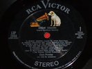 Elvis 