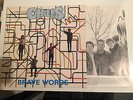 THE CHILLS RARE PUNK LP (BRAVE WORDS) ON FLYING NUN FNUK 12 **LOVELY COPY**