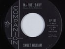 Northern Soul 45 SWEET WILLIAM Maybe, Baby COMPANION NM HEAR
