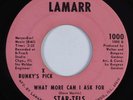 Crossover Soul/Funk 45 STAR-TELS What More Can I Ask For LAMARR VG+ HEAR