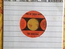 *The ROOSTERS 'ONE OF THESE DAYS'/'YOU GOTTA RUN' ORIG.1966 USA 7