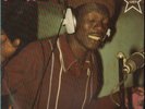 REGGAE DUB SKA LP - ANTHONY JOHNSON 