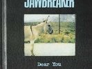 Dear You - Jawbreaker (2016, Vinyl NEW)