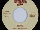 Sweet Soul 45 TERRA FIRMA BAND Dreams LAKE HEAR