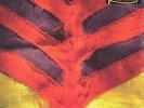 Yeah Yeah Yeahs - Show your bones Vinyl US LP