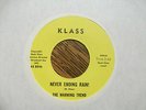 THE WARMING TREND It Wasn't Very Long Ago/Never Ending Rain FREDLO PSYCH 45 - NM