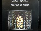 Chris Squire - Fish Out Of Water LP Mint- K50203 W/Poster UK 1975 Vinyl Record