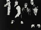 Flamin' Groovies-Now Vinyl / 12
