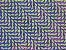 Merriweather Post Pavilion [LP] by Animal Collective (Vinyl, Jan-2009, Domino...
