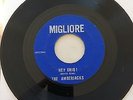 THE AMBERJACKS [HEY ERIQ/BLUE JAUNTE] MIGLIORE 1960s GARAGE PUNK 45 HEAR VG+ 7