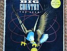 BIG COUNTRY , RARE ZIMBABWE RADIO PRESSING , MINT , THE SEER , DURAN BOWIE QUEEN