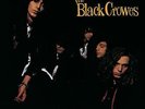 Shake Your Money Maker by The Black Crowes Vinyl LP Record Brand New Sealed