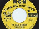 ANDREA HENRY 45RPM '68 MGM THE GRASS IS GREENER/I NEED YOU LIKE A BABY NORTHERN
