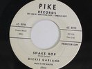 DICKIE GARLAND: Shake Bop / You're Gonna Be Sorry 45 (dj, xol) rare Rockabilly