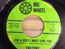 Falcons I'm A Fool I Must Love You 7