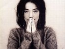 Björk - Debut